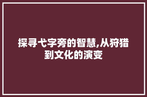 探寻弋字旁的智慧,从狩猎到文化的演变 诗词鉴赏