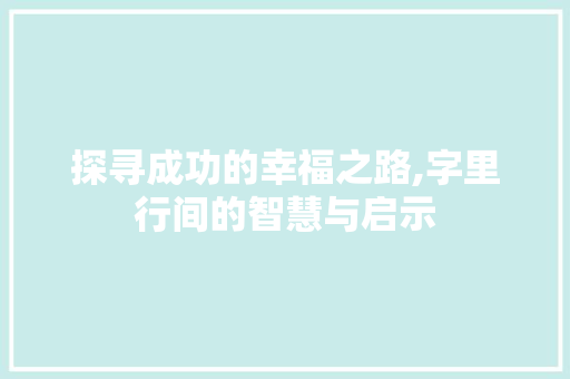 探寻成功的幸福之路,字里行间的智慧与启示