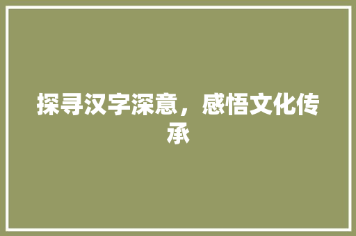探寻汉字深意，感悟文化传承 职场写作