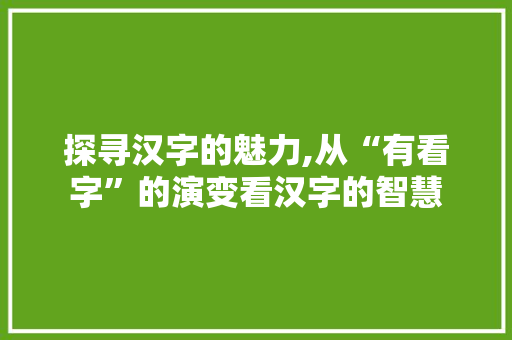 探寻汉字的魅力,从“有看字”的演变看汉字的智慧 项目报告