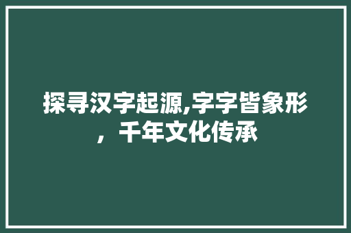 探寻汉字起源,字字皆象形，千年文化传承