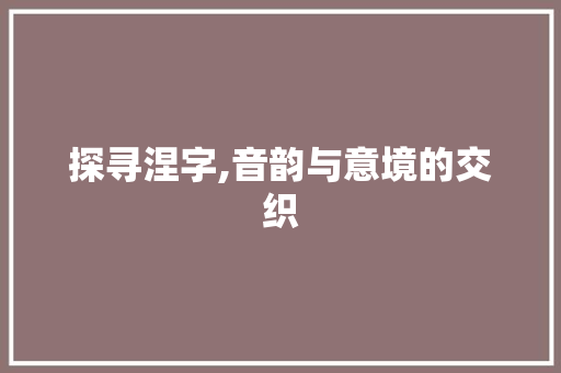 探寻涅字,音韵与意境的交织 工作总结