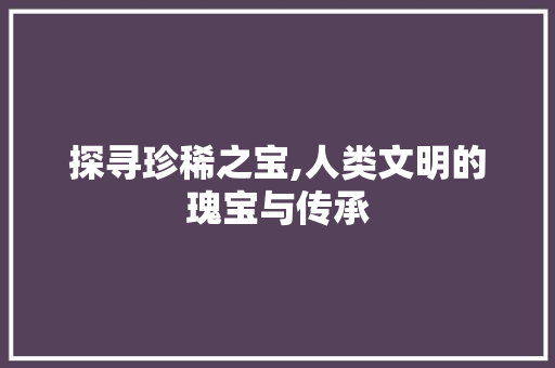探寻珍稀之宝,人类文明的瑰宝与传承