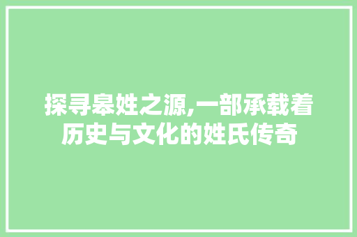 探寻皋姓之源,一部承载着历史与文化的姓氏传奇 工作总结