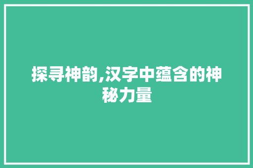 探寻神韵,汉字中蕴含的神秘力量 项目报告