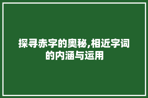 探寻赤字的奥秘,相近字词的内涵与运用 诗词体裁