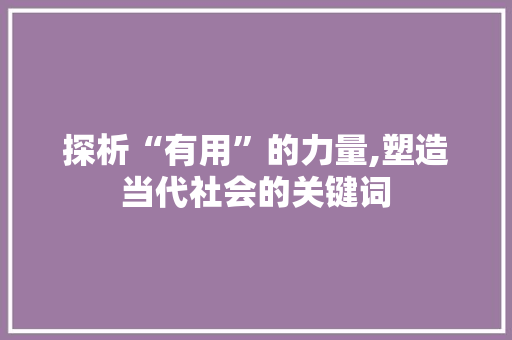 探析“有用”的力量,塑造当代社会的关键词