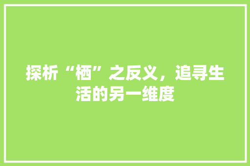 探析“栖”之反义，追寻生活的另一维度