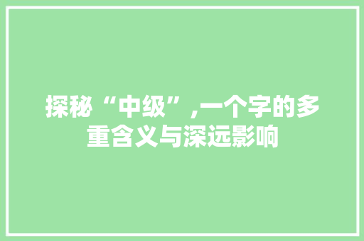 探秘“中级”,一个字的多重含义与深远影响