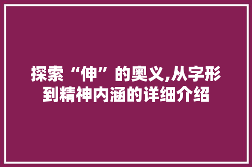 探索“伸”的奥义,从字形到精神内涵的详细介绍 职场写作