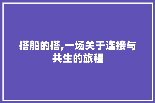 搭船的搭,一场关于连接与共生的旅程