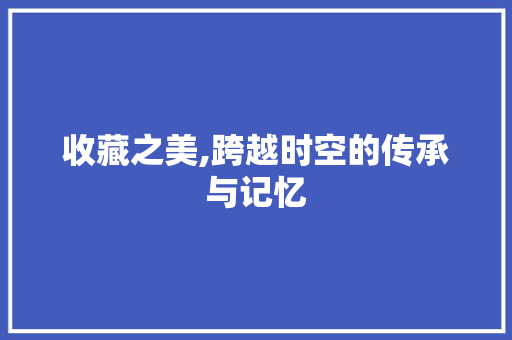 收藏之美,跨越时空的传承与记忆