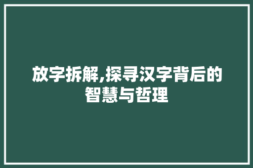 放字拆解,探寻汉字背后的智慧与哲理 应用文