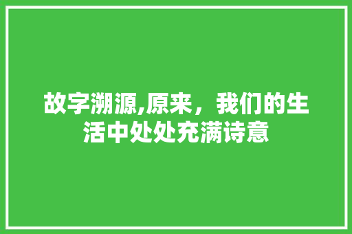故字溯源,原来，我们的生活中处处充满诗意 项目报告