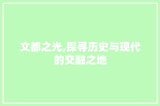 文都之光,探寻历史与现代的交融之地