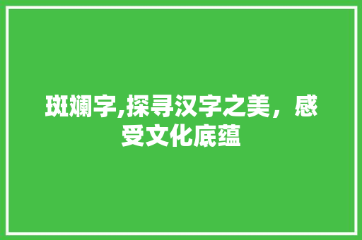 斑斓字,探寻汉字之美，感受文化底蕴