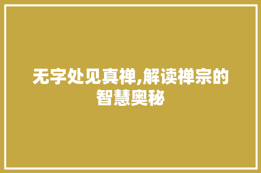 无字处见真禅,解读禅宗的智慧奥秘 应用文