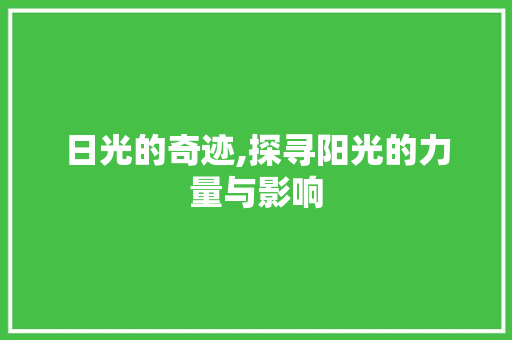 日光的奇迹,探寻阳光的力量与影响