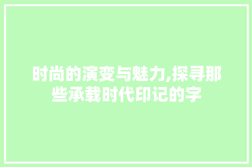 时尚的演变与魅力,探寻那些承载时代印记的字