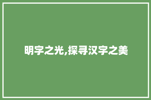 明字之光,探寻汉字之美