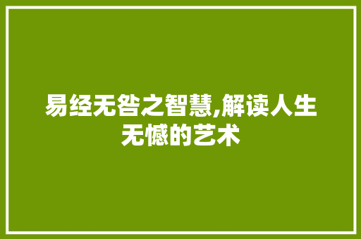易经无咎之智慧,解读人生无憾的艺术