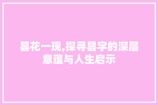 昙花一现,探寻昙字的深层意蕴与人生启示 工作总结