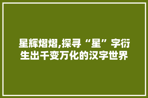 星辉熠熠,探寻“星”字衍生出千变万化的汉字世界