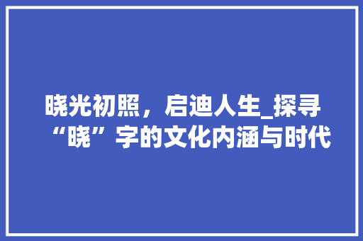 晓光初照，启迪人生_探寻“晓”字的文化内涵与时代价值 项目报告
