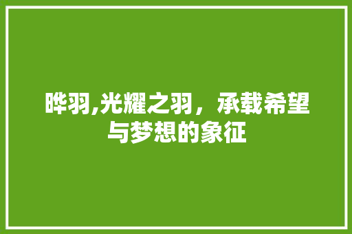晔羽,光耀之羽，承载希望与梦想的象征