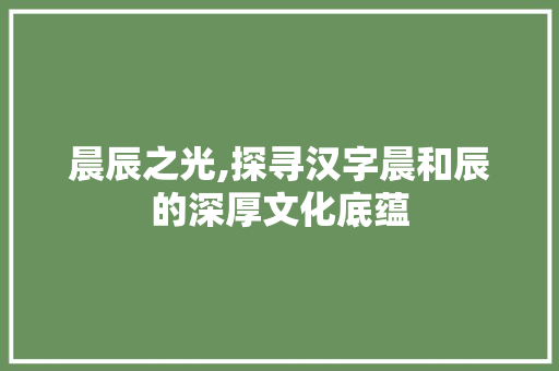 晨辰之光,探寻汉字晨和辰的深厚文化底蕴 诗词应用