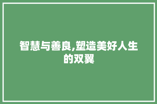 智慧与善良,塑造美好人生的双翼 社交媒体