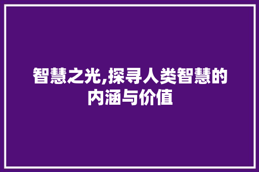 智慧之光,探寻人类智慧的内涵与价值 诗词应用
