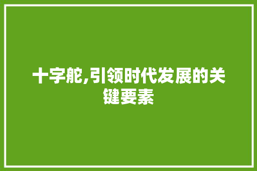 十字舵,引领时代发展的关键要素
