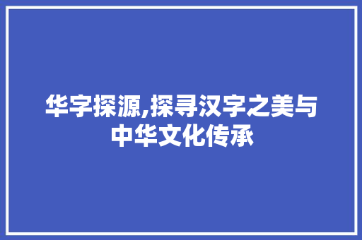 华字探源,探寻汉字之美与中华文化传承