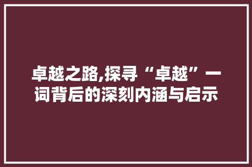 卓越之路,探寻“卓越”一词背后的深刻内涵与启示