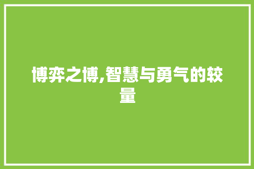 博弈之博,智慧与勇气的较量