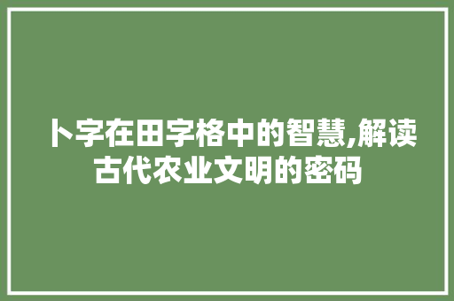 卜字在田字格中的智慧,解读古代农业文明的密码