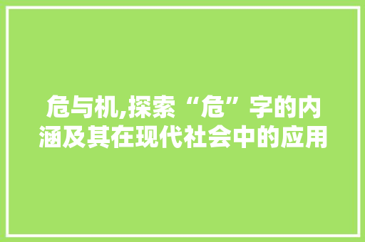 危与机,探索“危”字的内涵及其在现代社会中的应用