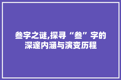 叁字之谜,探寻“叁”字的深邃内涵与演变历程