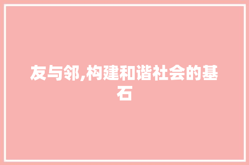 友与邻,构建和谐社会的基石
