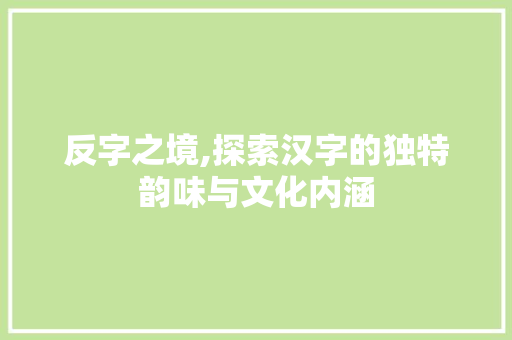 反字之境,探索汉字的独特韵味与文化内涵