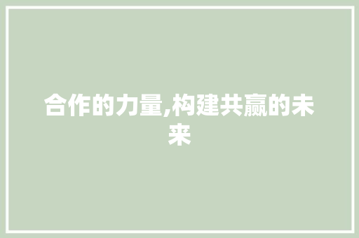 合作的力量,构建共赢的未来