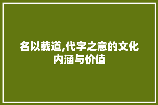 名以载道,代字之意的文化内涵与价值