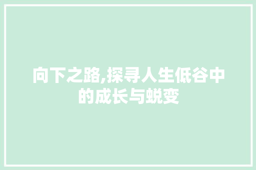 向下之路,探寻人生低谷中的成长与蜕变