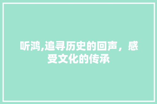 听鸿,追寻历史的回声，感受文化的传承
