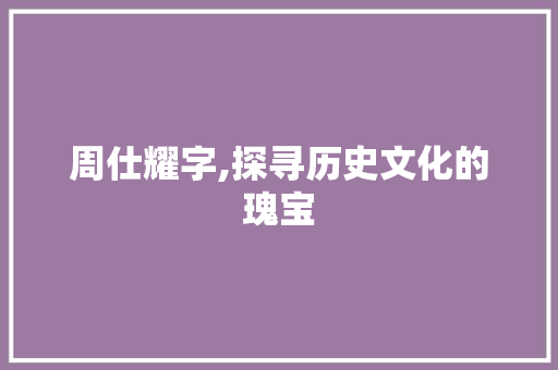 周仕耀字,探寻历史文化的瑰宝 工作总结