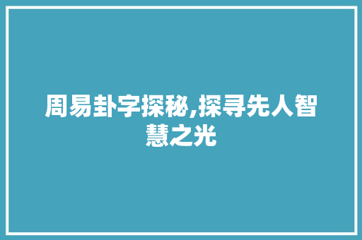 周易卦字探秘,探寻先人智慧之光