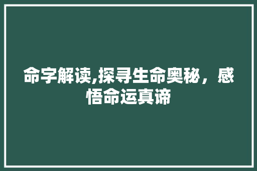 命字解读,探寻生命奥秘，感悟命运真谛
