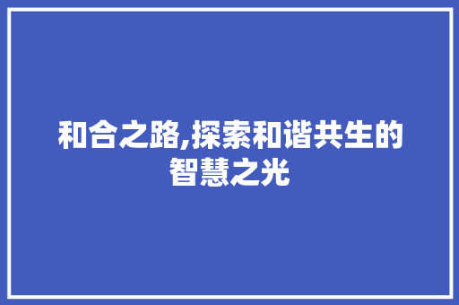 和合之路,探索和谐共生的智慧之光