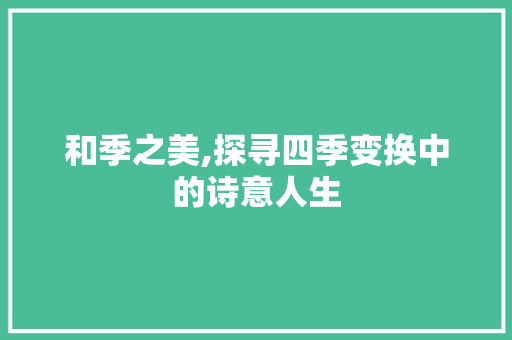 和季之美,探寻四季变换中的诗意人生 工作总结